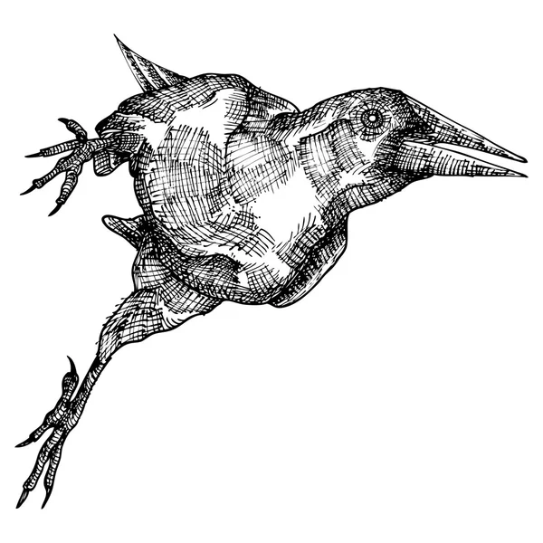 Disegno stilizzato a mano di corvo — Vettoriale Stock