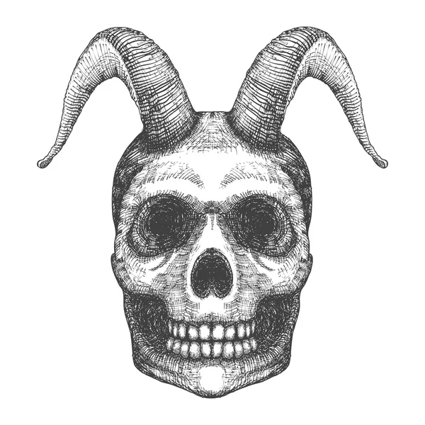 Human skull with goat horns sketch — Stockfoto