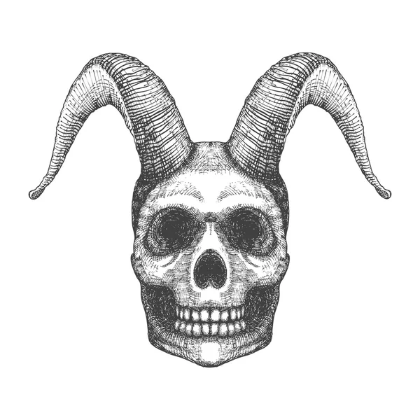 Human skull with goat horns sketch — Φωτογραφία Αρχείου