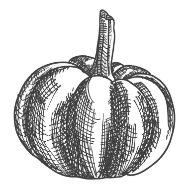 El çizim kabak kroki