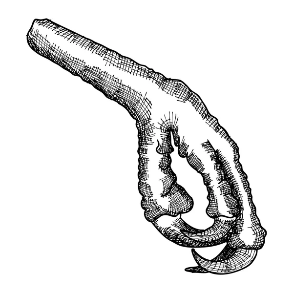 Bird's foot sketch — Stockový vektor