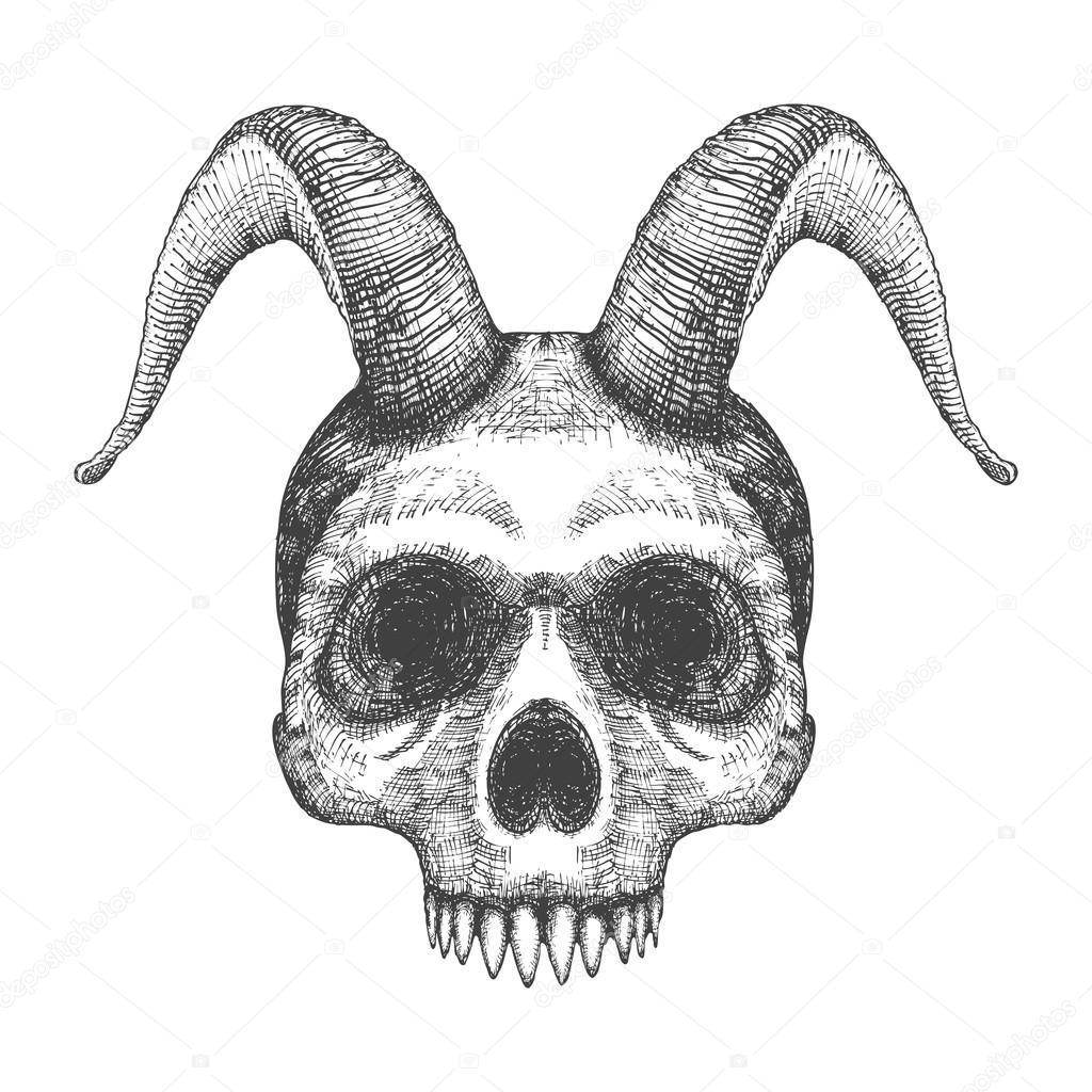 Human skull with goat horns sketch