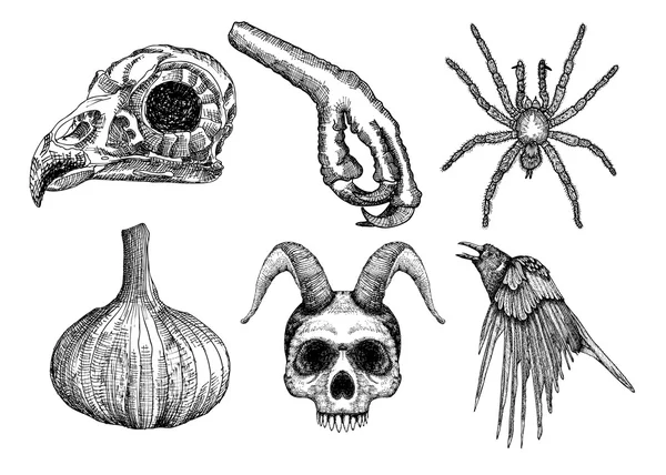 Conjunto de atributos mágicos de brujería Halloween — Vector de stock