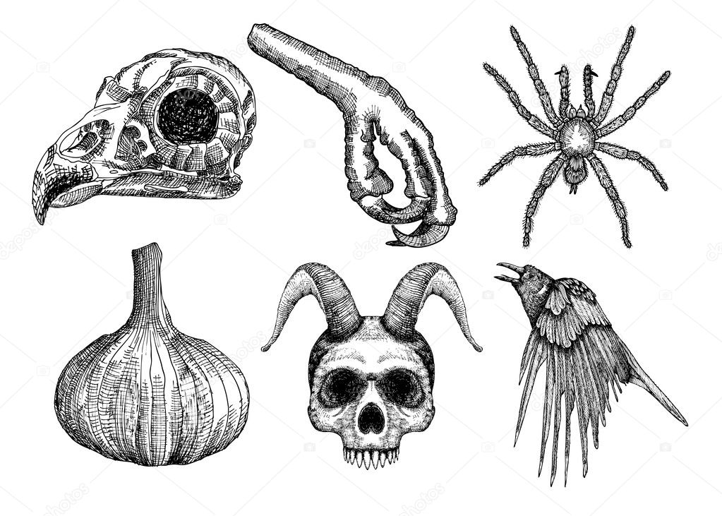 Set of witchcraft magic Halloween attributes 