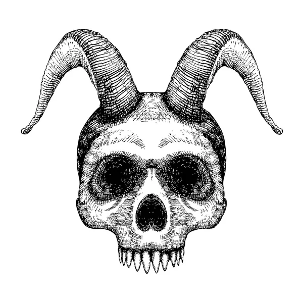 Crânio humano com chifres de cabra esboço — Fotografia de Stock
