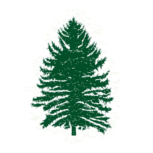 Silhouettes of green pine tree Royalty Free Stock Photos