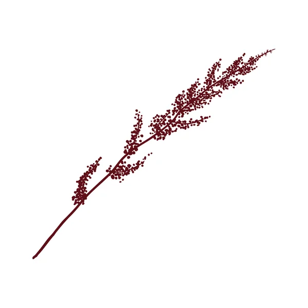 Hand målade trä twig — Stock vektor