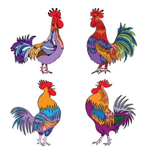 Set of rooster sketches — Stock Vector