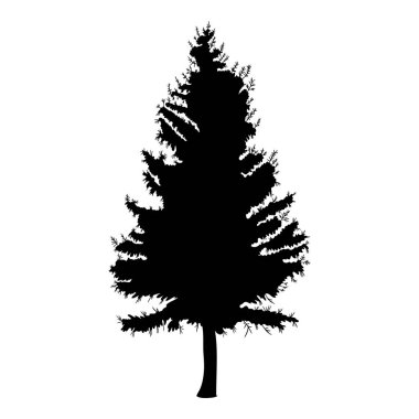 Firavun Ağacı Çizimi