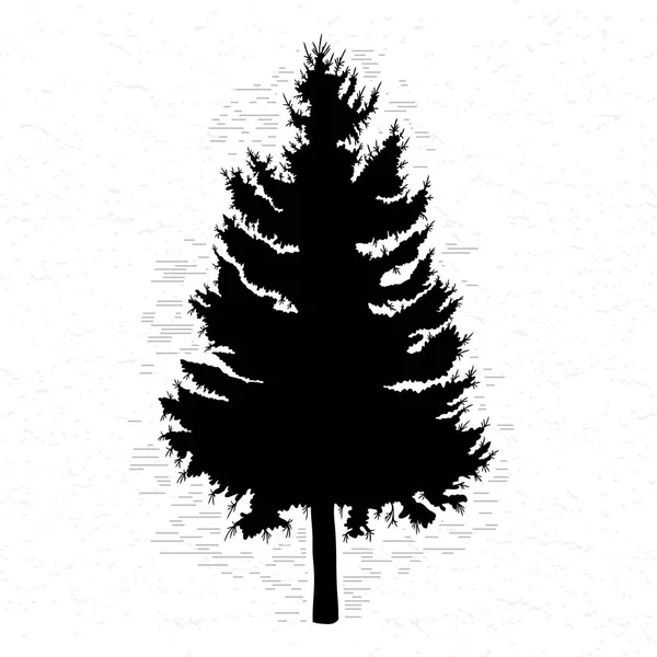 Ilustracja drzewa jodłowego — Zdjęcie stockowe