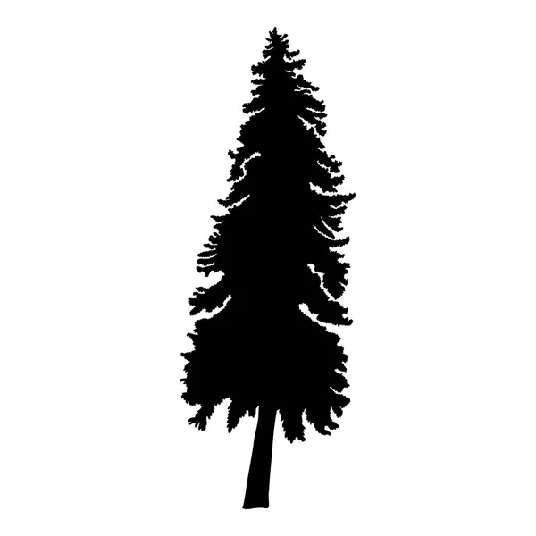 Fir tree illustration — Stock Photo, Image