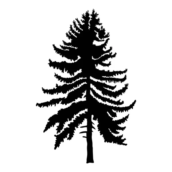 Hand getekende fir tree sketch — Stockfoto