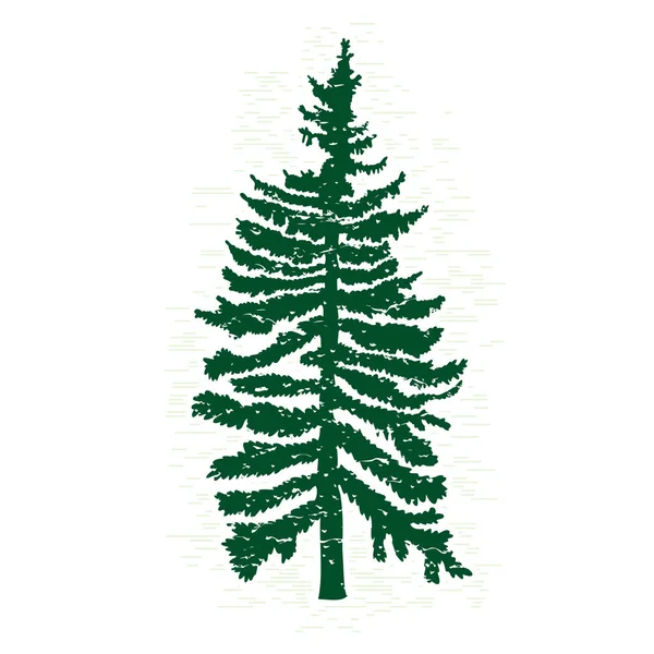 Hand getekende fir tree sketch — Stockfoto