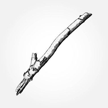 Elle çizilmiş dal dal