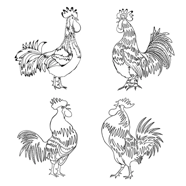 Set of rooster sketches — Stock Vector