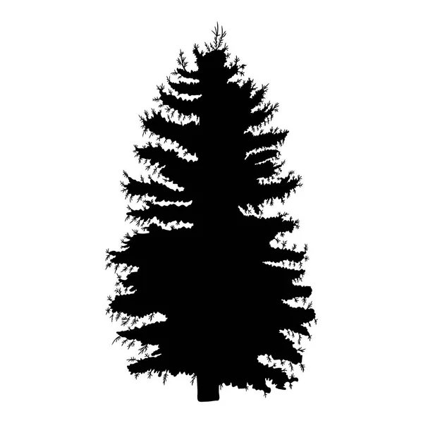 手工绘制的杉木树素描 — 图库照片