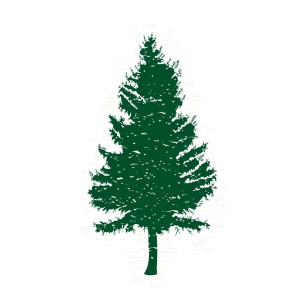 Hand drawn fir tree sketch — Stock Photo, Image