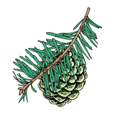 Suluboya koni kroki boyalı