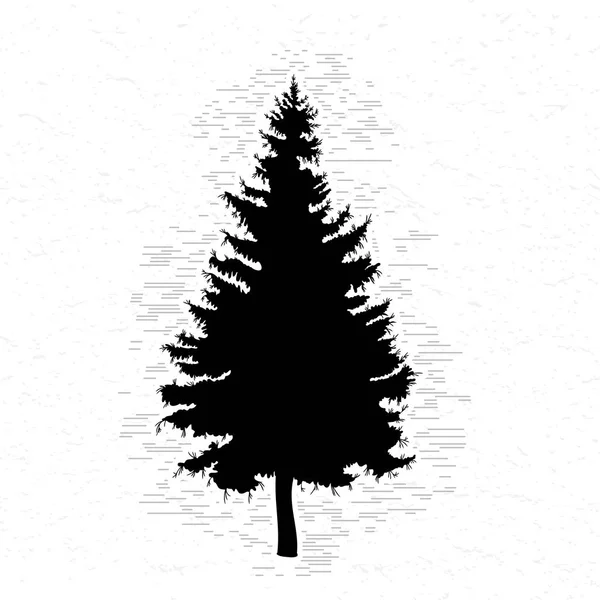 Fir tree sketch — Stock Photo, Image