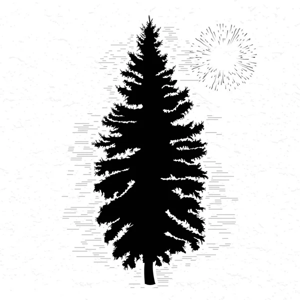 Szkic drzewo jodły — Zdjęcie stockowe