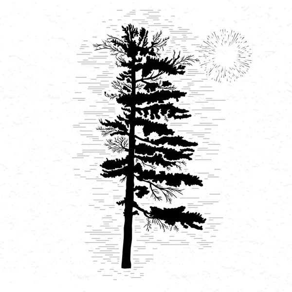 Fir tree sketch — Stockfoto