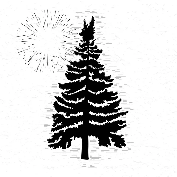 Fir tree sketch — Stock Photo, Image