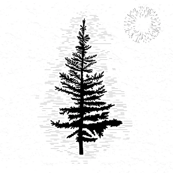 Fir tree sketch Stock Image