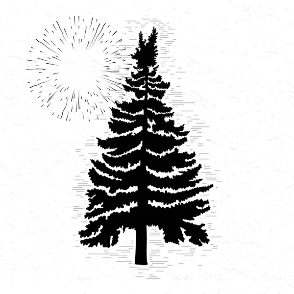 Fir tree sketch Royalty Free Stock Images