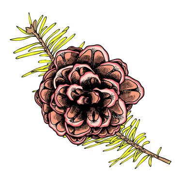 El çekilmiş gerçekçi koni kroki