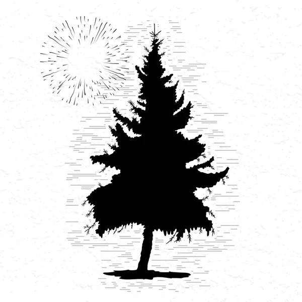 松の木のシルエット — ストック写真