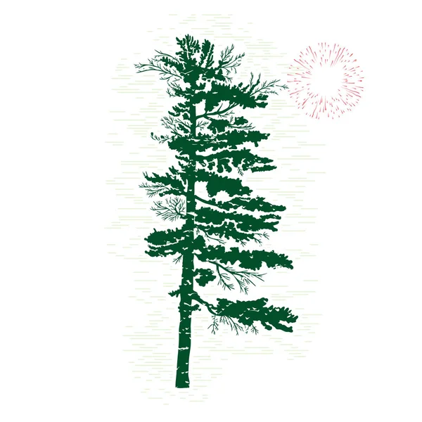 Silhouette of pine tree — Stock Photo, Image