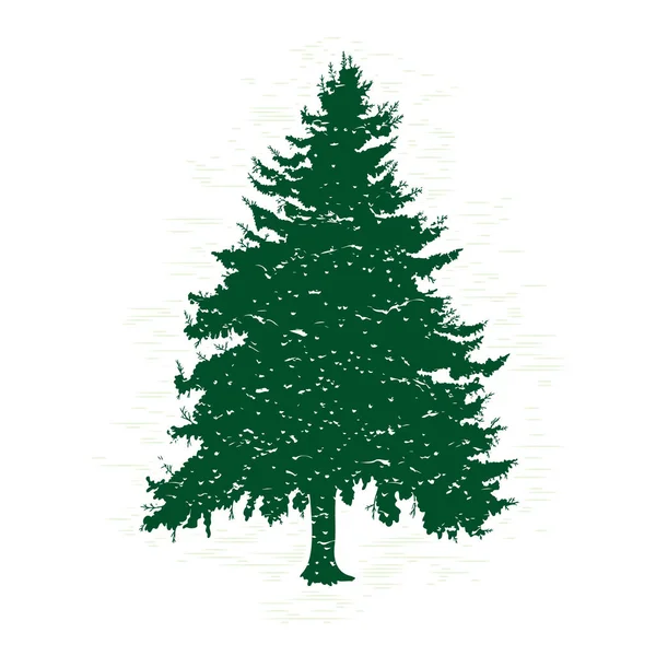 Silhouette of green pine tree Stock Vector Image by ©goldenshrimp ...