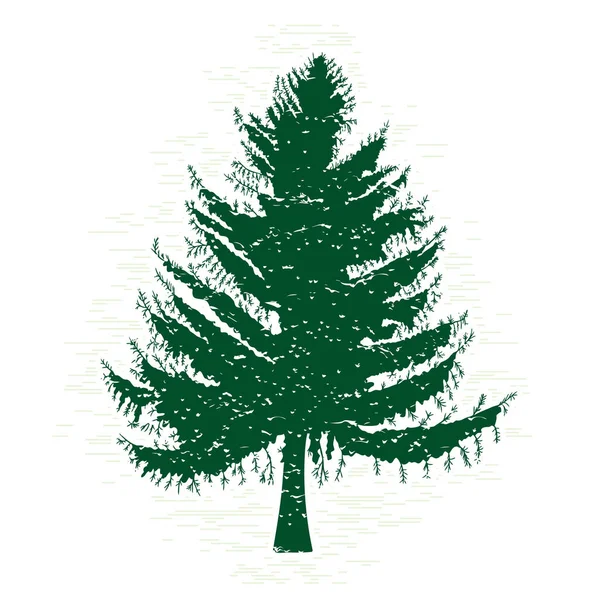 Silhouette of pine tree — Stock Photo, Image