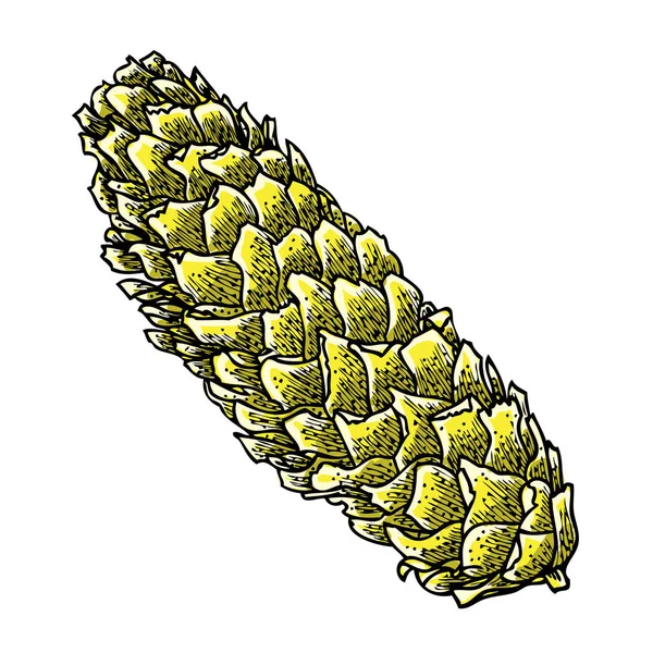 Hand drawn realistic cone sketch — Stock Photo, Image