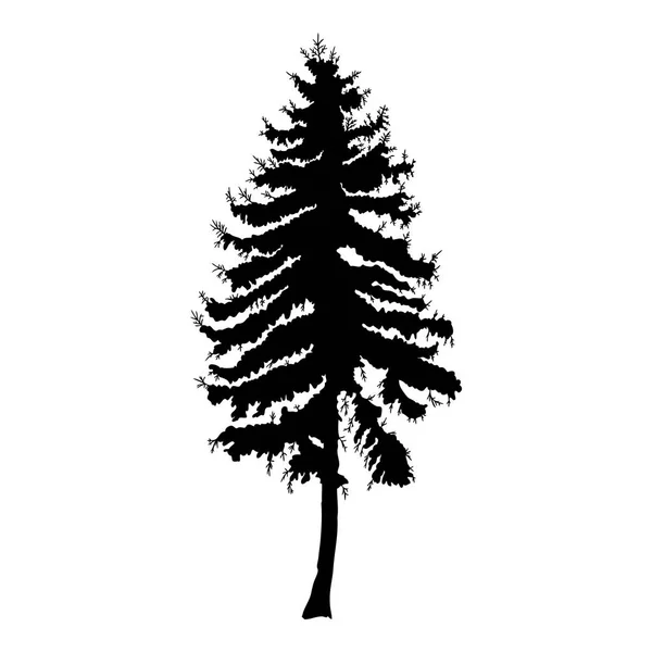 松の木のシルエット — ストック写真