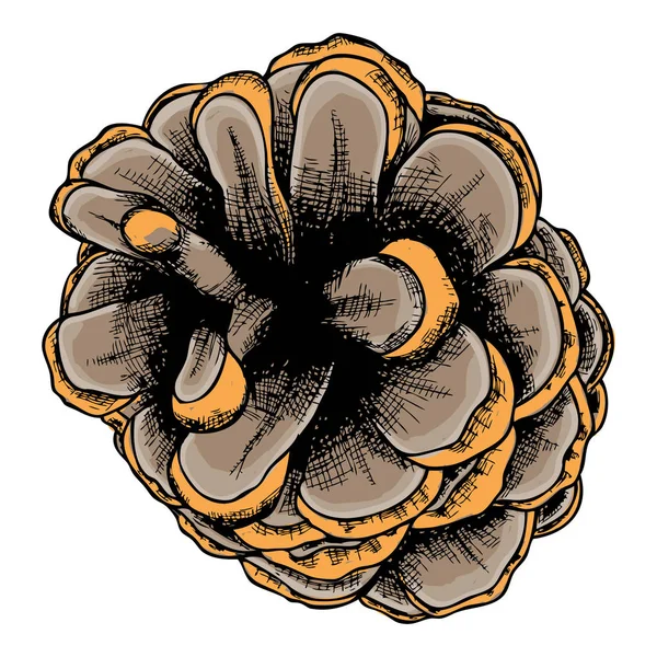 Desenho de cone realista desenhado à mão — Fotografia de Stock