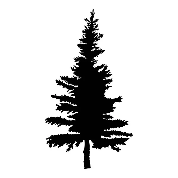 Silhouette of pine tree Stock Picture
