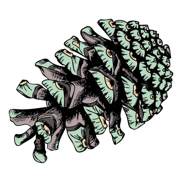 Cone de pinho pintado desenhado à mão — Fotografia de Stock