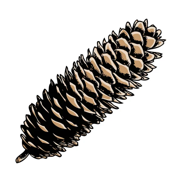 Cone de pinho pintado desenhado à mão — Fotografia de Stock