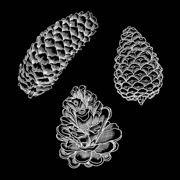 Ensemble de croquis cône de pin — Image vectorielle
