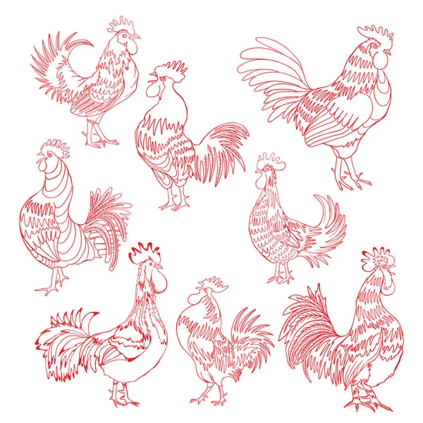 Set of roosters in different directions — Stock Vector