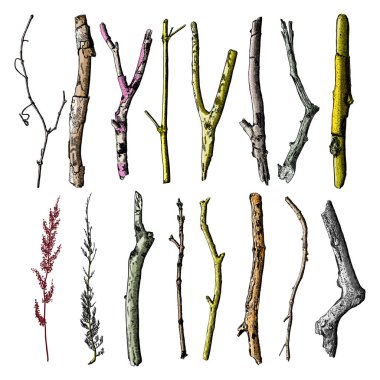 El dal kümesi boyalı