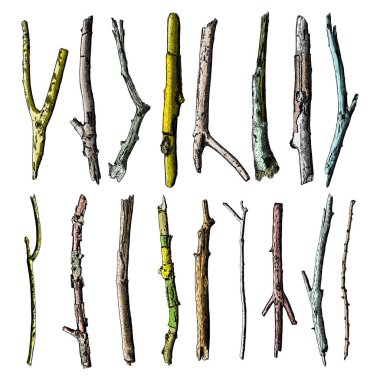 Hand painted wood twig set clipart