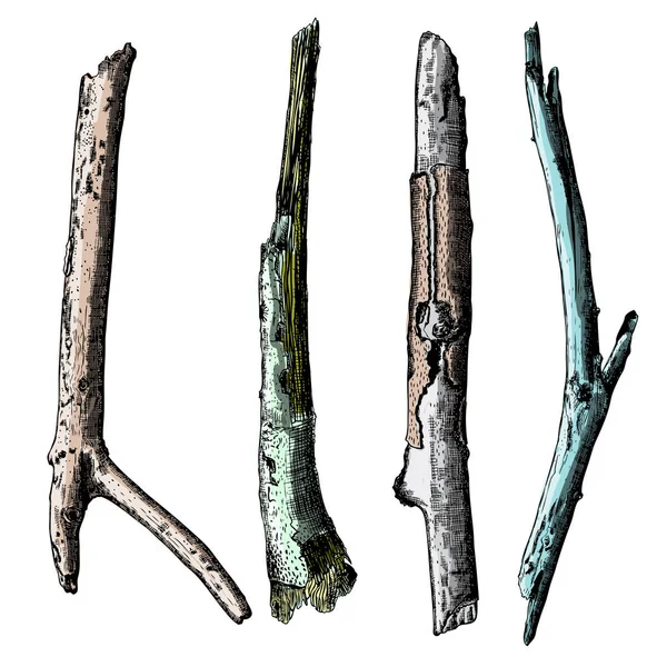 Set di ramoscelli in legno dipinto a mano — Vettoriale Stock