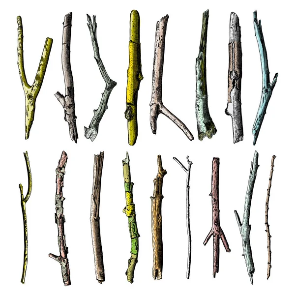 Set di ramoscelli in legno dipinto a mano — Vettoriale Stock