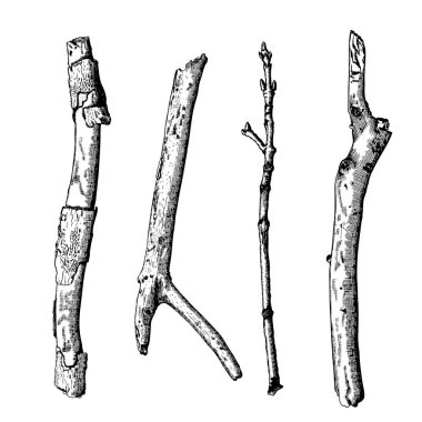 Elle çizilmiş ahşap dal kümesi