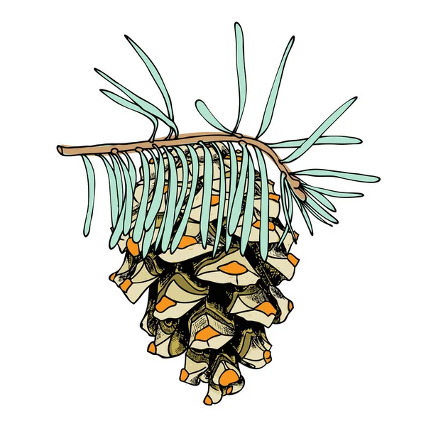 Aquarel geschilderd kegel schets — Stockvector