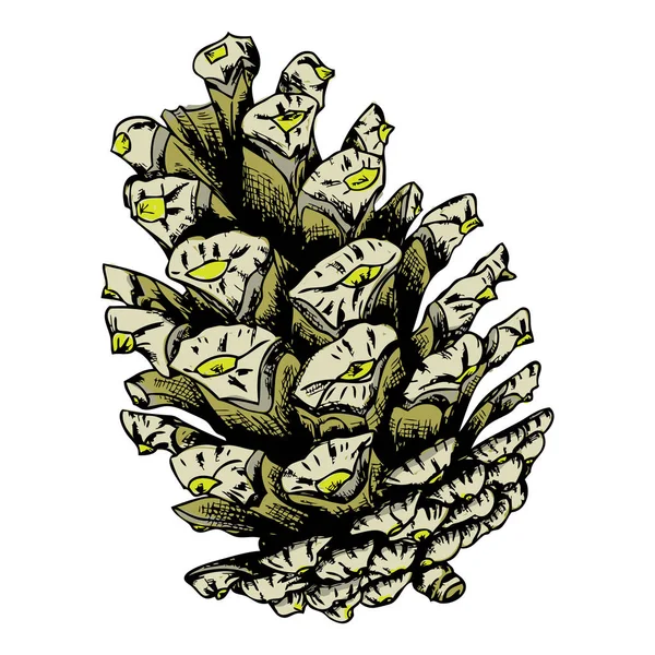 Dibujo de cono pintado de acuarela — Vector de stock