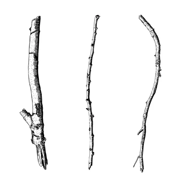 Conjunto de ramitas de madera dibujada a mano — Vector de stock