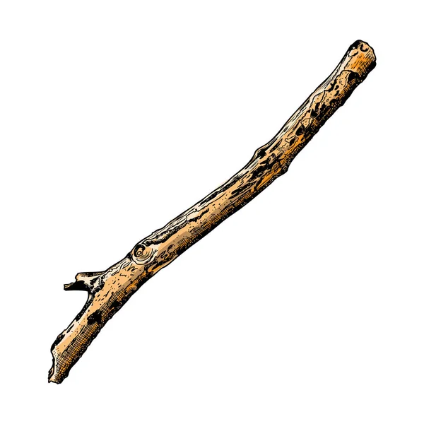 Ručně kreslená větev — Stock fotografie